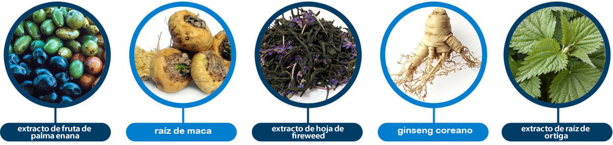 Erexol&nbsp;+&nbsp;Apexol